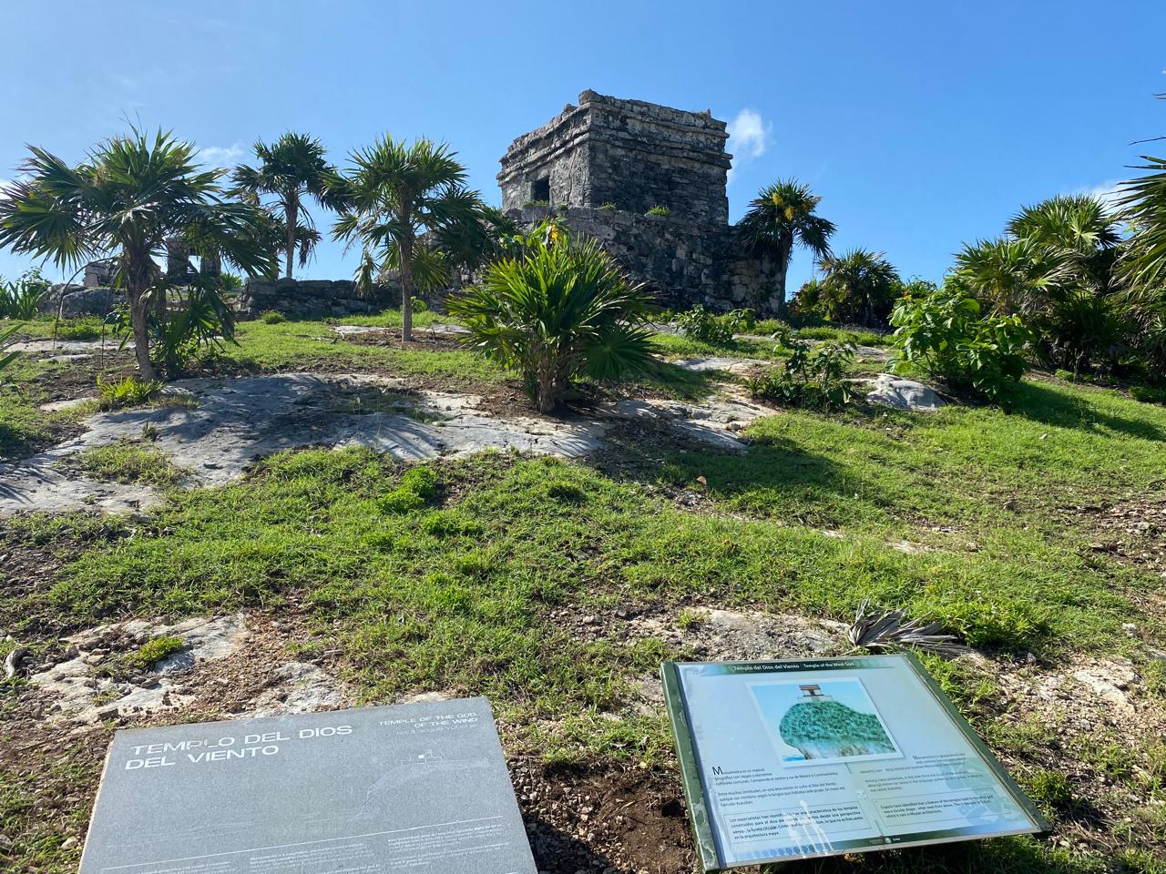 Experiencia 3 en 1 – Medio Día: Nado con Tortugas, Ruinas de Tulum y Cenotes