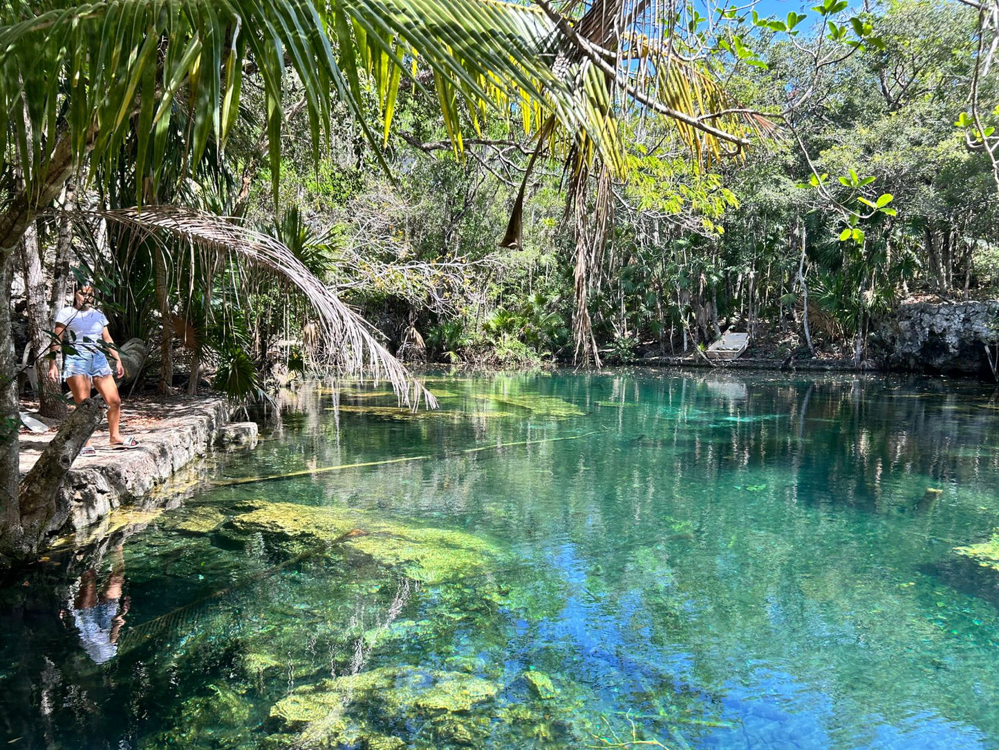 Cenote Media Luna - Aventura Subterránea y Relax en el Cenote Media Luna