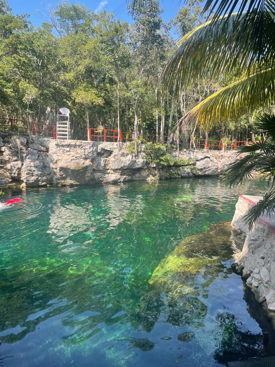 Cenotes Casa Tortuga Tulum – Aventura Natural y Mágica