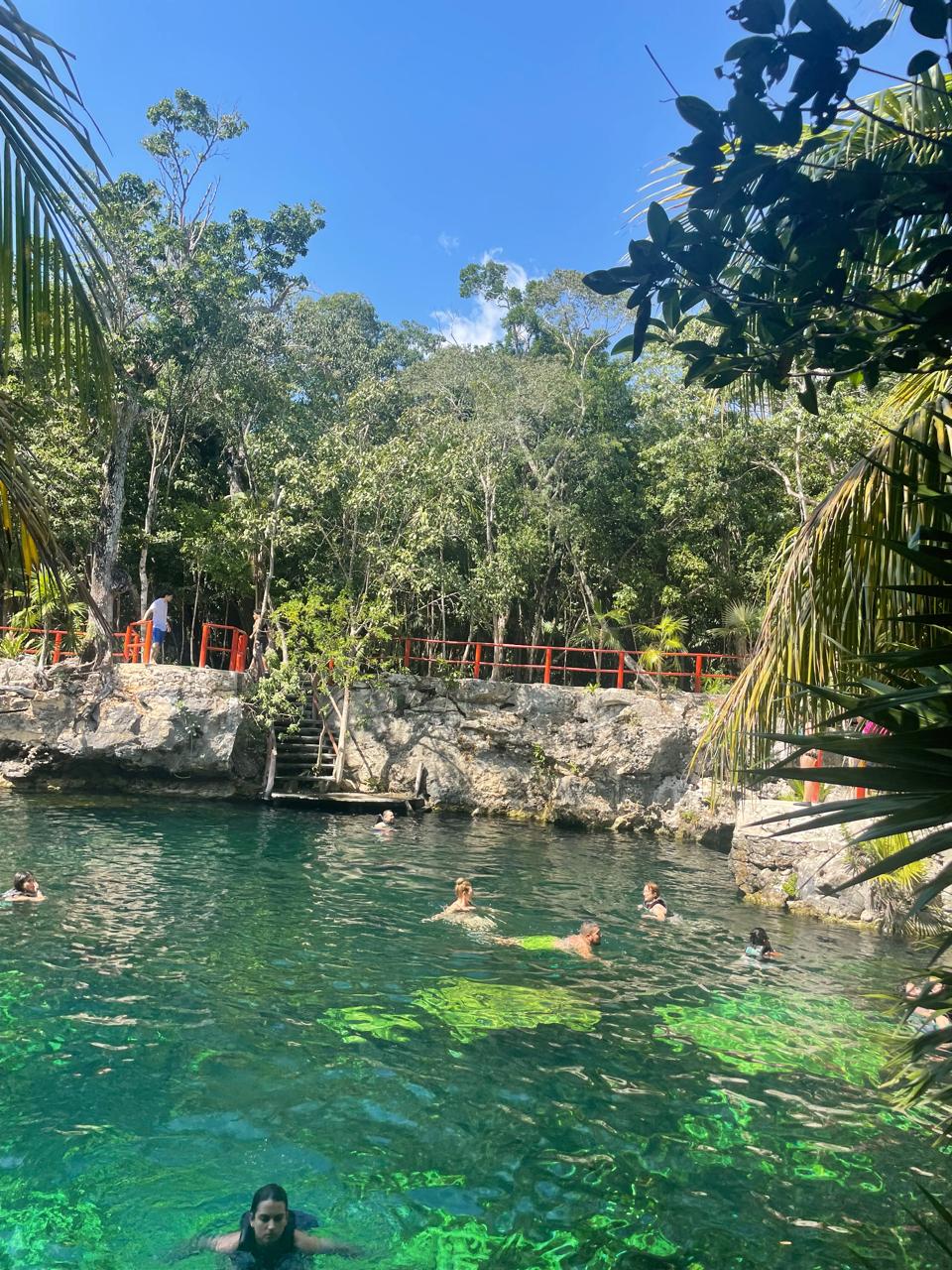 Cenotes Casa Tortuga Tulum – Aventura Natural y Mágica