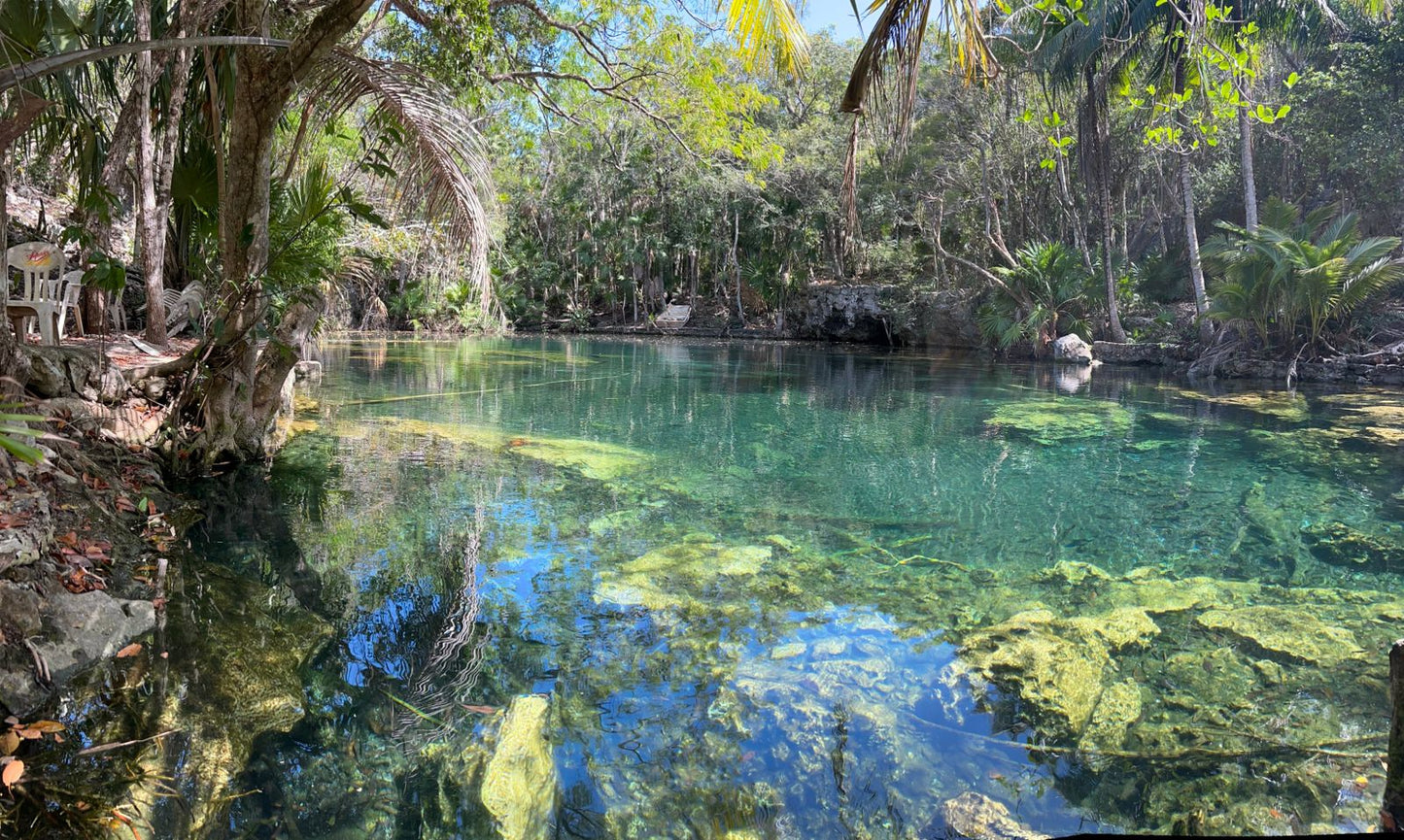 Cenote Media Luna - Aventura Subterránea y Relax en el Cenote Media Luna