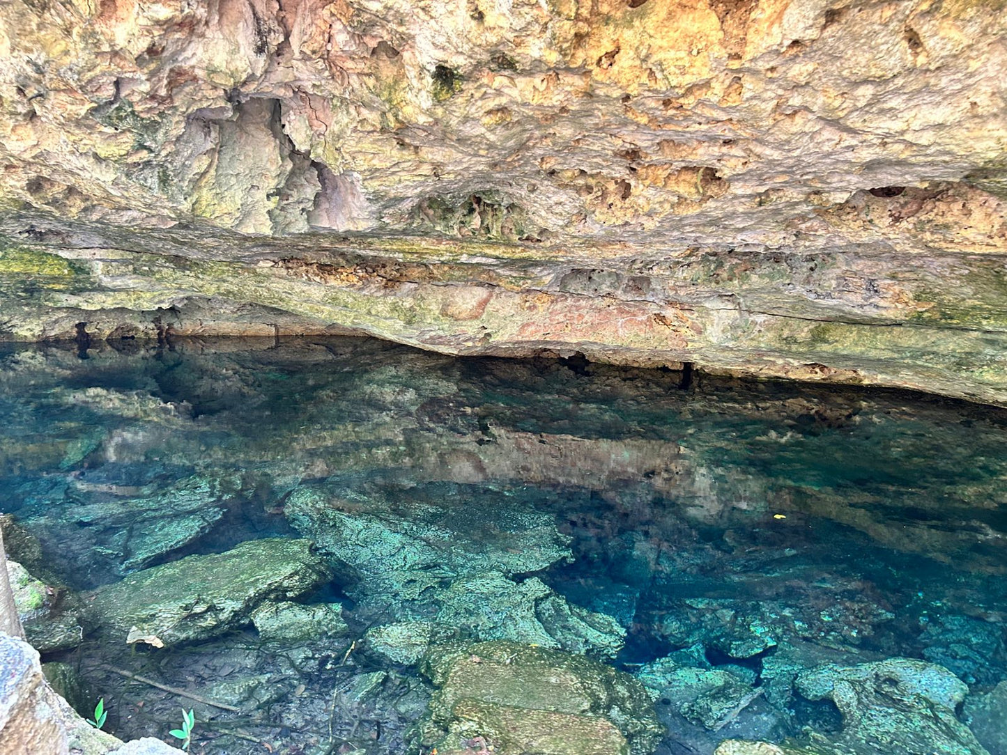 Cenote Media Luna - Aventura Subterránea y Relax en el Cenote Media Luna