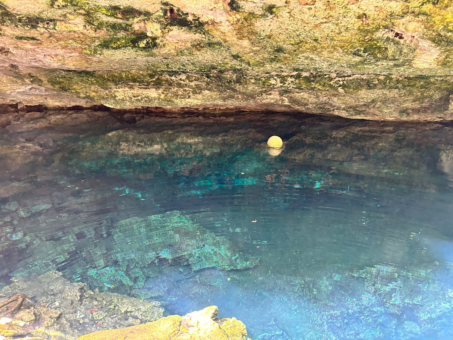 Cenote Media Luna - Aventura Subterránea y Relax en el Cenote Media Luna