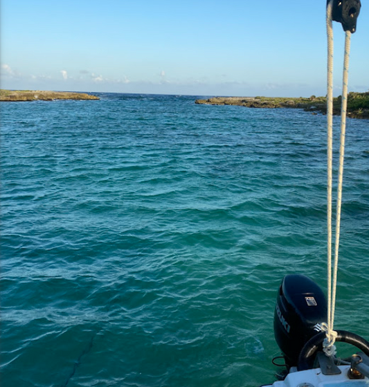 Tour en Embarcación: Laguna Yalkuito + Nado con Tortugas – 3 Horas