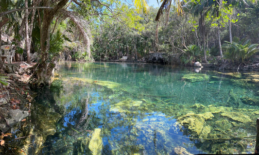 Cenote Media Luna - Aventura Subterránea y Relax en el Cenote Media Luna