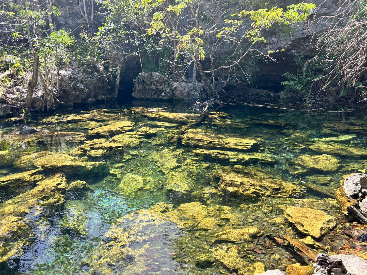 Cenote Media Luna - Aventura Subterránea y Relax en el Cenote Media Luna