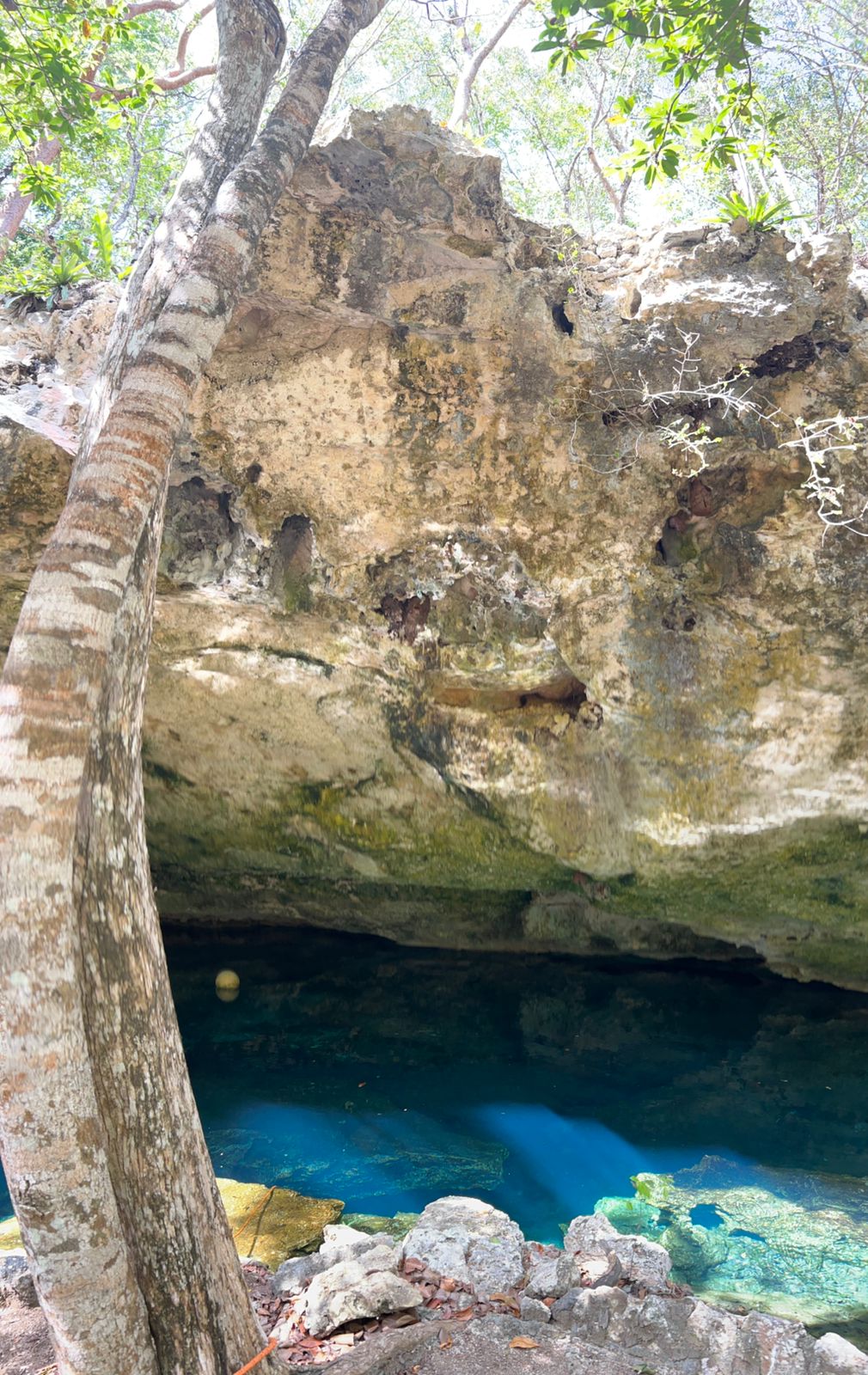 Cenote Media Luna - Aventura Subterránea y Relax en el Cenote Media Luna